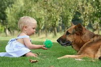 Предел доверия собаке ребенка